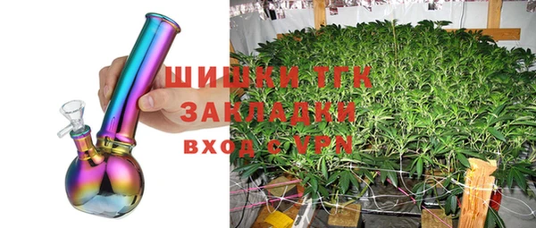 apvp Анива