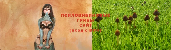 метадон Мегион