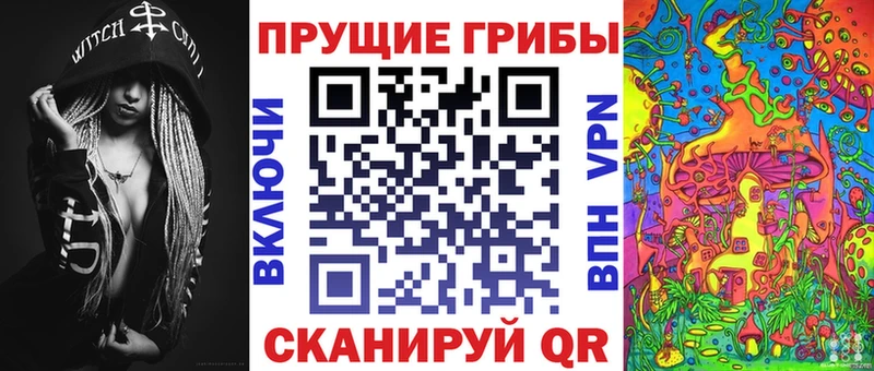 Псилоцибиновые грибы MAGIC MUSHROOMS  дарк нет клад  Мостовской  МЕГА зеркало 