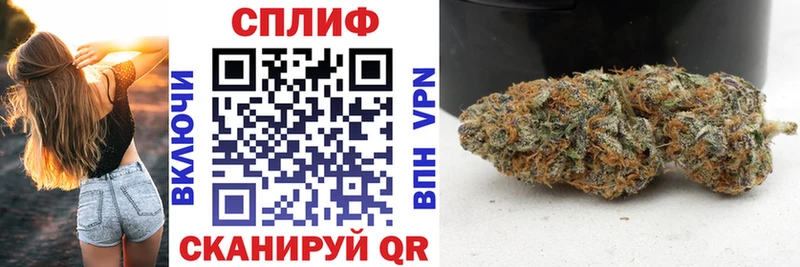 Конопля план  Мостовской 